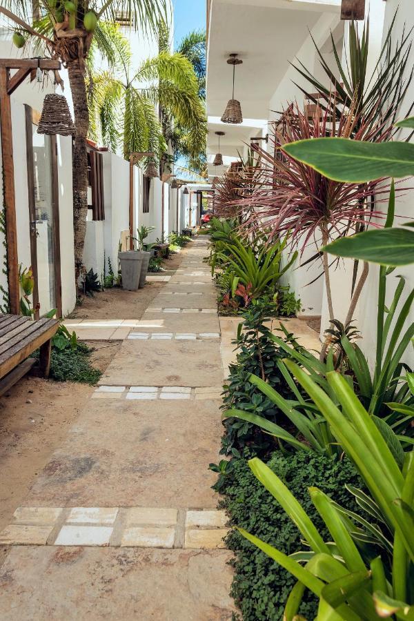 Apartamento Manay 日若卡-迪热里科阿科阿拉 外观 照片